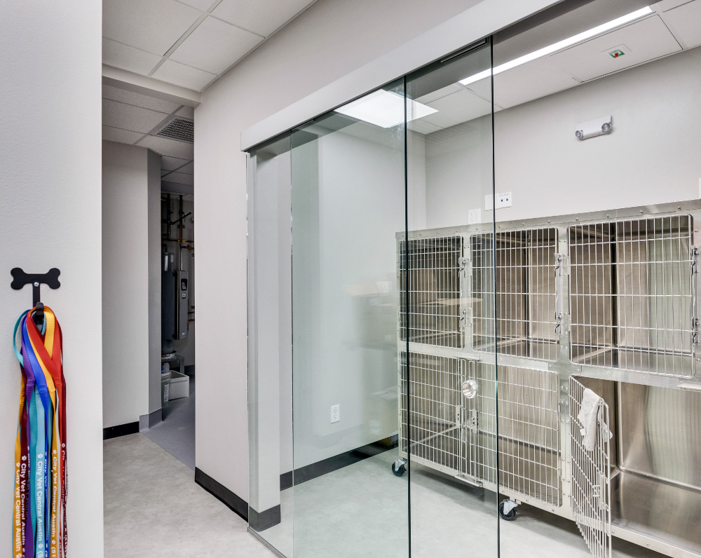 kennel area within a cityvet clinic in arizona